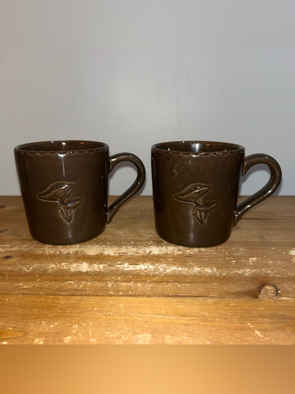 Hearth And Hand Forest Brown Embossed Mushroom Mugs Set of 2